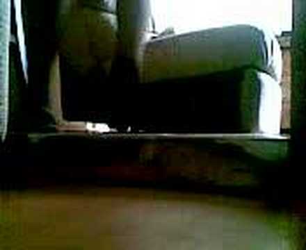 Kralde paranoia survivor max oni