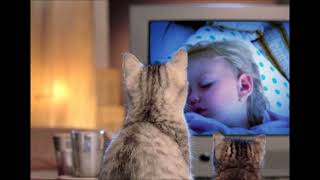 Bohemian Soldiers projekt Safron Tvý oči spí