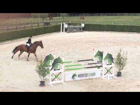 Cassander horses for pleasure 1m20 29/07/2017