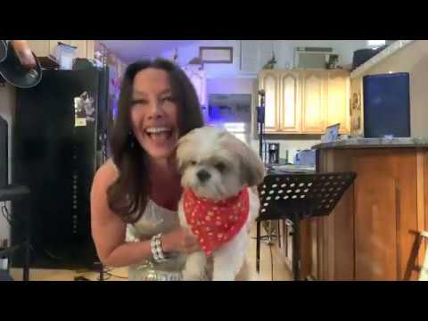 Promotional video thumbnail 1 for Stiletto & The Saxman - The Arminios