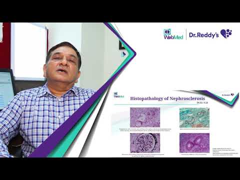 Hypertensive Kidney Disease