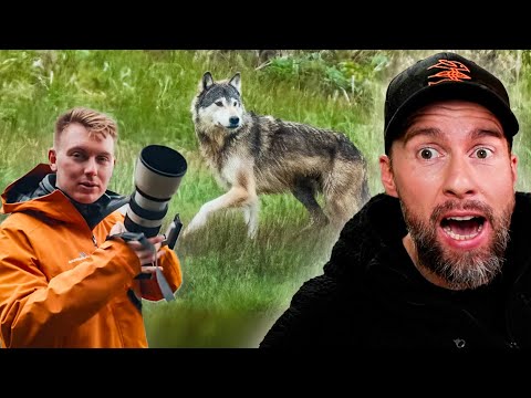 NICHT DEIN ERNST TOMATOLIX! Er fotografiert den Küstenwolf am 2 Tag?! | Robert Marc Lehmann reagiert