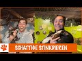 WAAROM STINKT EEN STINKDIER? | DierenpraatTV
