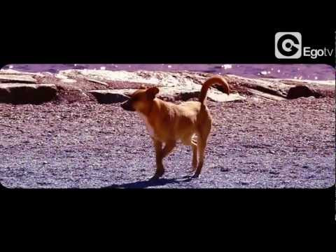 Karmin Shiff - Baila Morena ft. Lik & Dak (OFFICIAL MUSIC VIDEO)