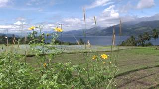 preview picture of video 'singkarak lake Sumatra September 2010'