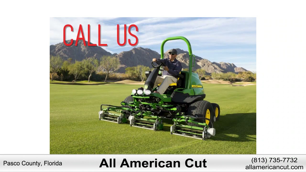 All American Cut Lawn Care Services Port Richey, FL