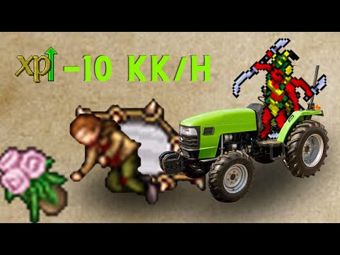 Tibia - Como Não Caçar Asura Mirror de EK