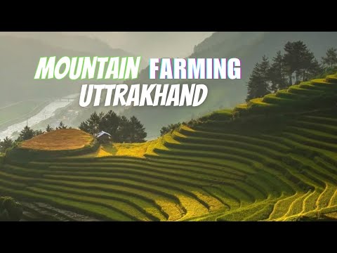 Mountain Farming: Scenic Views in Uttarakhand 