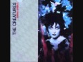 The Creatures - Turn It On