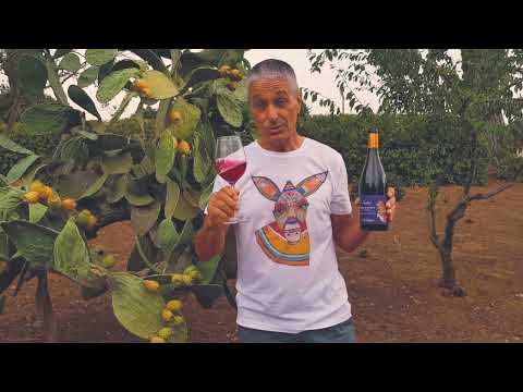 Nostru - Nero D'Avola