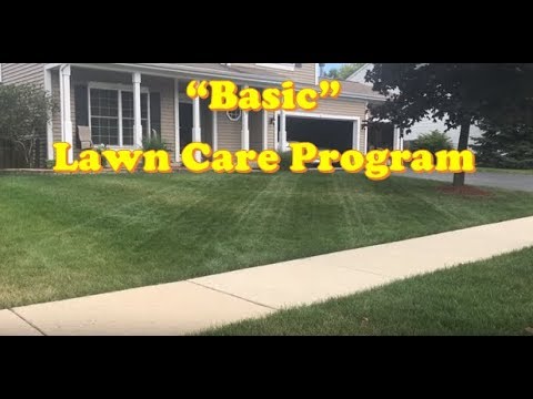 Lawn Care Program for Beginners | Lawn Care Steps (LAWN CARE) Video