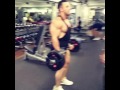 DANIEL STICCO IFBB TRAIN ARMS