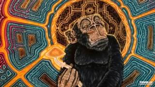 Drunk As A Monk - Banco de Gaia