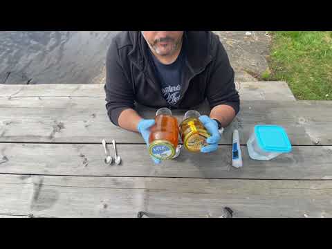 Bulgarisk Fusk Honung