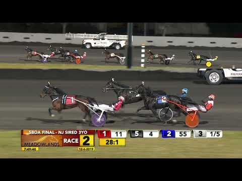 SBOA FINAL - NJ SIRED 3YO TROT - Race 2 - December 6, 2019