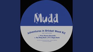 Adventures in Bricket Wood-1 (Ray Mang Beats)
