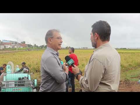 Produtores de arroz de Igreja Nova recebem colheitadeira de cana Conab