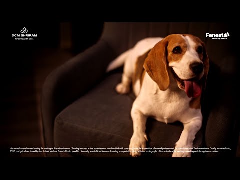 Keep the Rain Out with Fenesta Windows & Doors