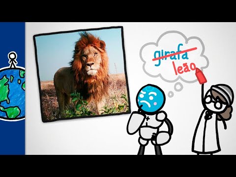 Como a Inteligência Artificial ajuda a identificar animais? | Minuto da Terra