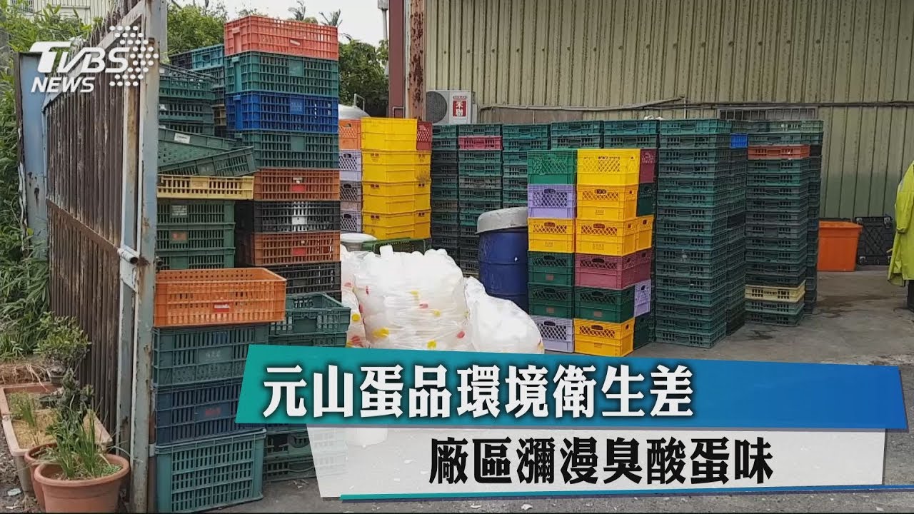 元山蛋品環境衛生差 廠區瀰漫臭酸蛋味