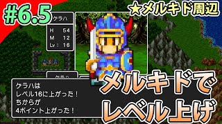 ＃６．５［PS4版］メルキドでレベル上げ［ドラゴンクエスト１実況］（メルキド周辺）