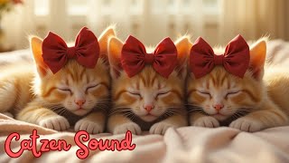 2 Hours of Bow Kitten ASMR ???????????????? Cozy Purring for Deep Sleep & Relaxation