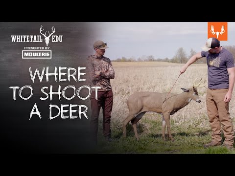 Shot Placement with Mark and Tony | Whitetail EDU