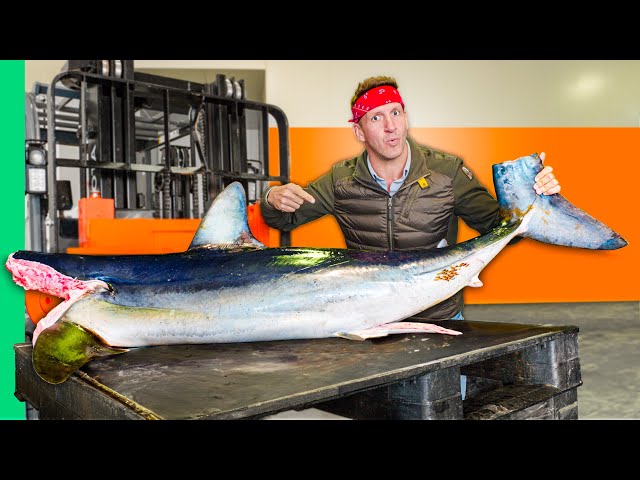 Surviving Australia!! Catching & Cooking Their WILDEST Animals!! SDDEFAULT Thumbnail