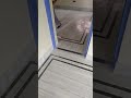 Diamond Polished Makrana Marble Floor Fully Furnished Work By Rajaram Marble Contractor In Kolkata