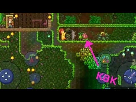 Как быстро найти плантеру в terraria
