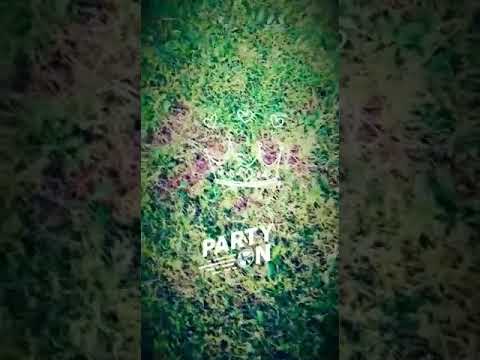 Lil locco roach - Dziesma par krapāli! (Official audio)