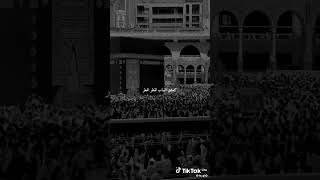 كشوق الليالي لضوء القمر