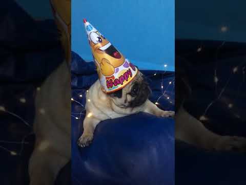 Cutie Alex❤️❤️❤️