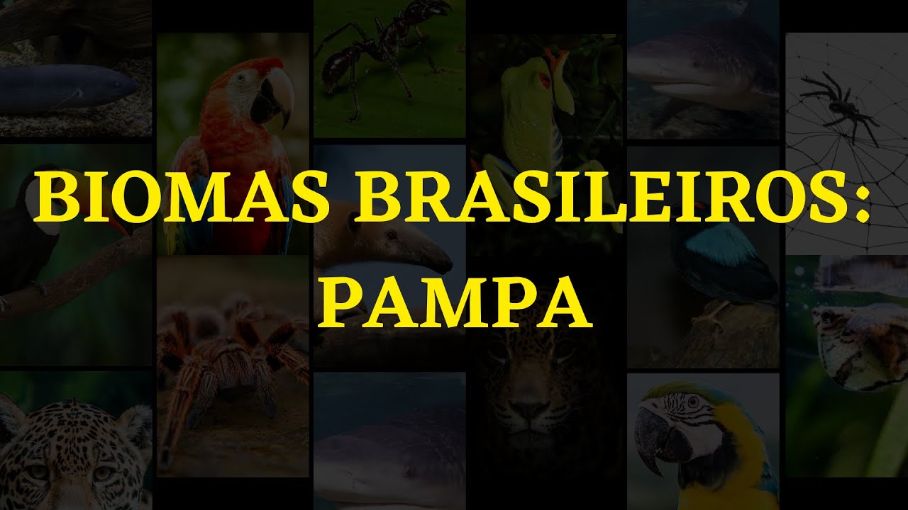 Biomas Brasileiros: Pampa
