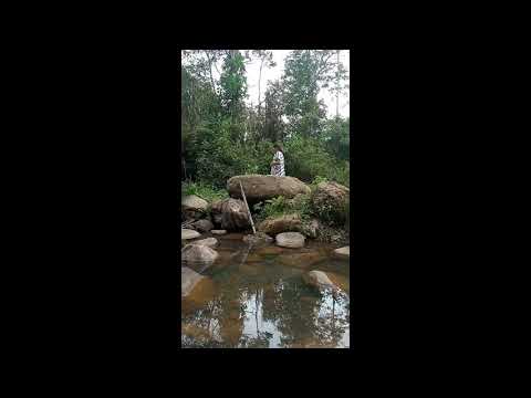 REALIDAD CULTURAL Zarela 6