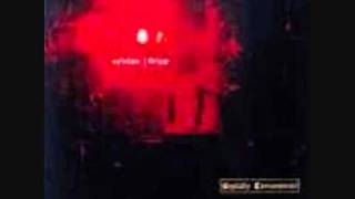 Sylvian & Fripp - The First Day