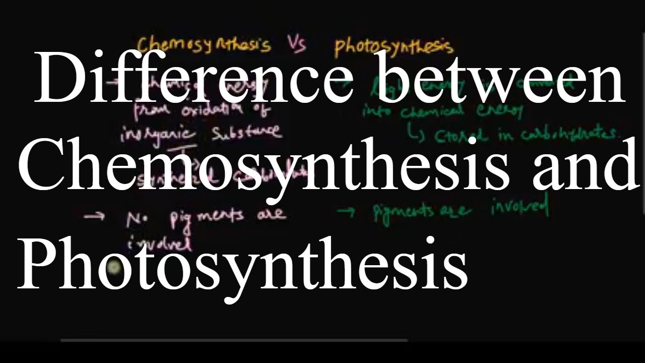 Chemosynthesis vs photosynthesis
