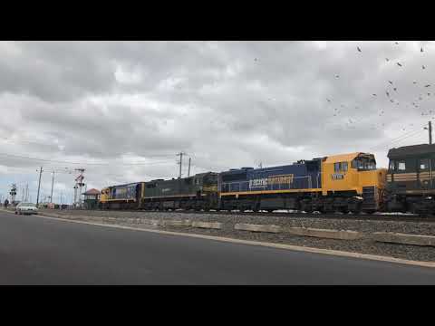 XR555 X43 XR551 G524 XR557