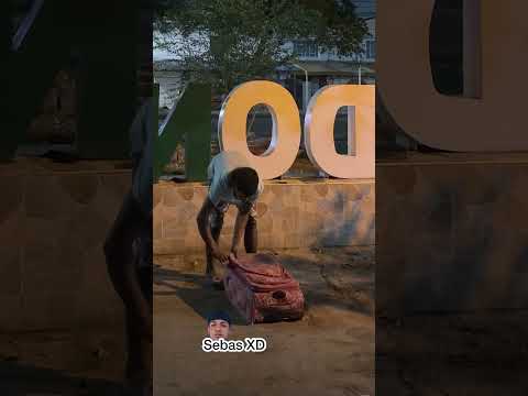 Демонстрація роботи відеокамери Reolink TrackMix в режимі автотрекінгу