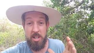 How To Keep Trees Small (Survival Gardener Minute #035)