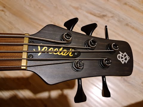 Spector Forte 5, Aguilar Super Singles, Darkglass Tone Capsule