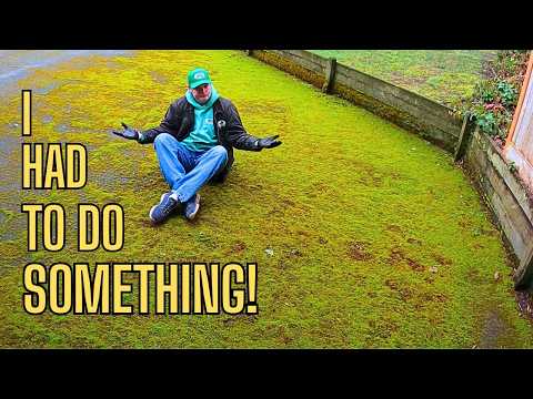 You've NEVER seen moss like this before, (Like a Blanket)  #pressurewashing, #ASMR, #satisfying,
