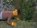 Sesame Street Insects In Your Neighborhood