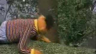 Sesame Street - Insects In Your Neighborhood