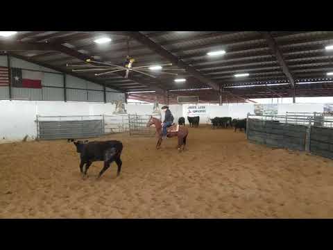 Hooker-Jared Lesh cowhorses  2015 WR This Cats Smart