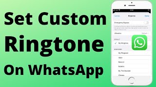 How to Set Custom Ringtone on WhatsApp iPhone | 2022
