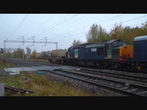 20303 & 37038 on 6M56 Berkeley Flasks 08 11 10