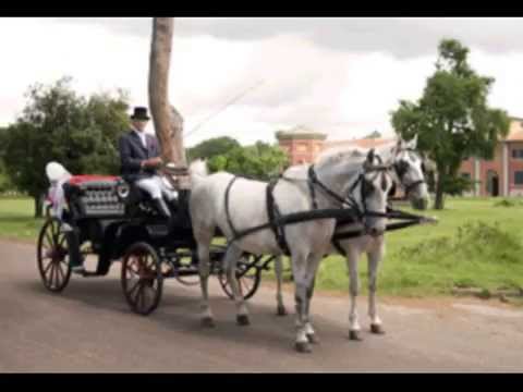 LUCIANO GIOVANNETTI IN VECCHIO FRACK