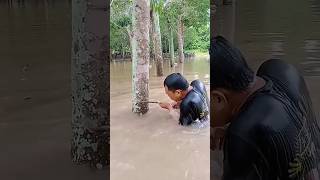 Download lagu Rubber plantations in Thailand are flooded #rubbersap #shortvideo mp3 Download lagu Rubber plantations in Thailand are flooded #rubbersap #shortvideo mp3