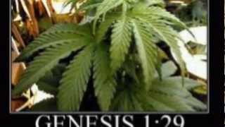 Zig Zag Official Music Video SmokeDizzle